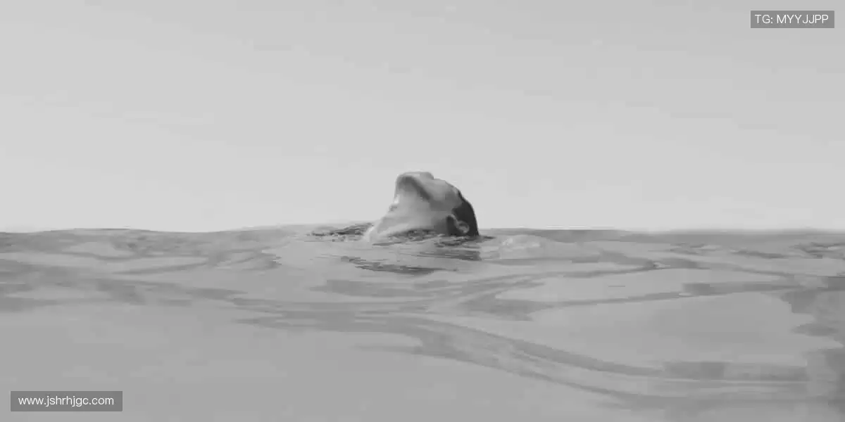 装备升级，战力狂飙！🎯